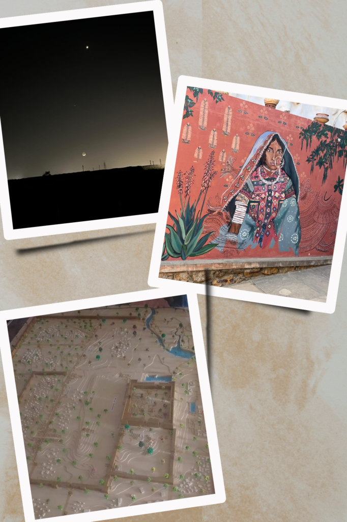 Beige Simple Frame Nature Photo Collage