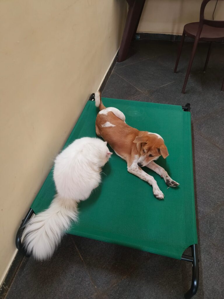 WhatsApp Image 2025-03-18 at 16.57.58_2c456710