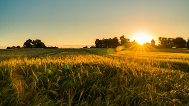 istockphoto-1280715716-612×612