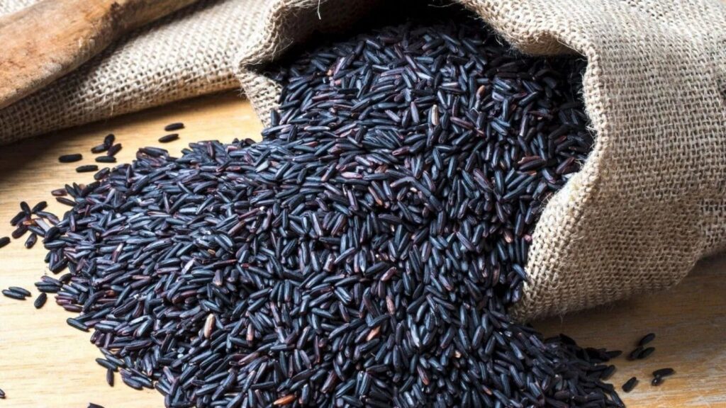 karuppu-kavuni-rice-165043929616×96006919051625971445