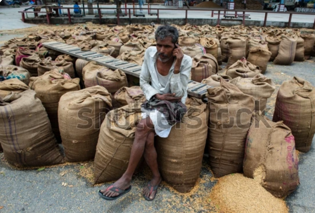 Farmer waiting at market